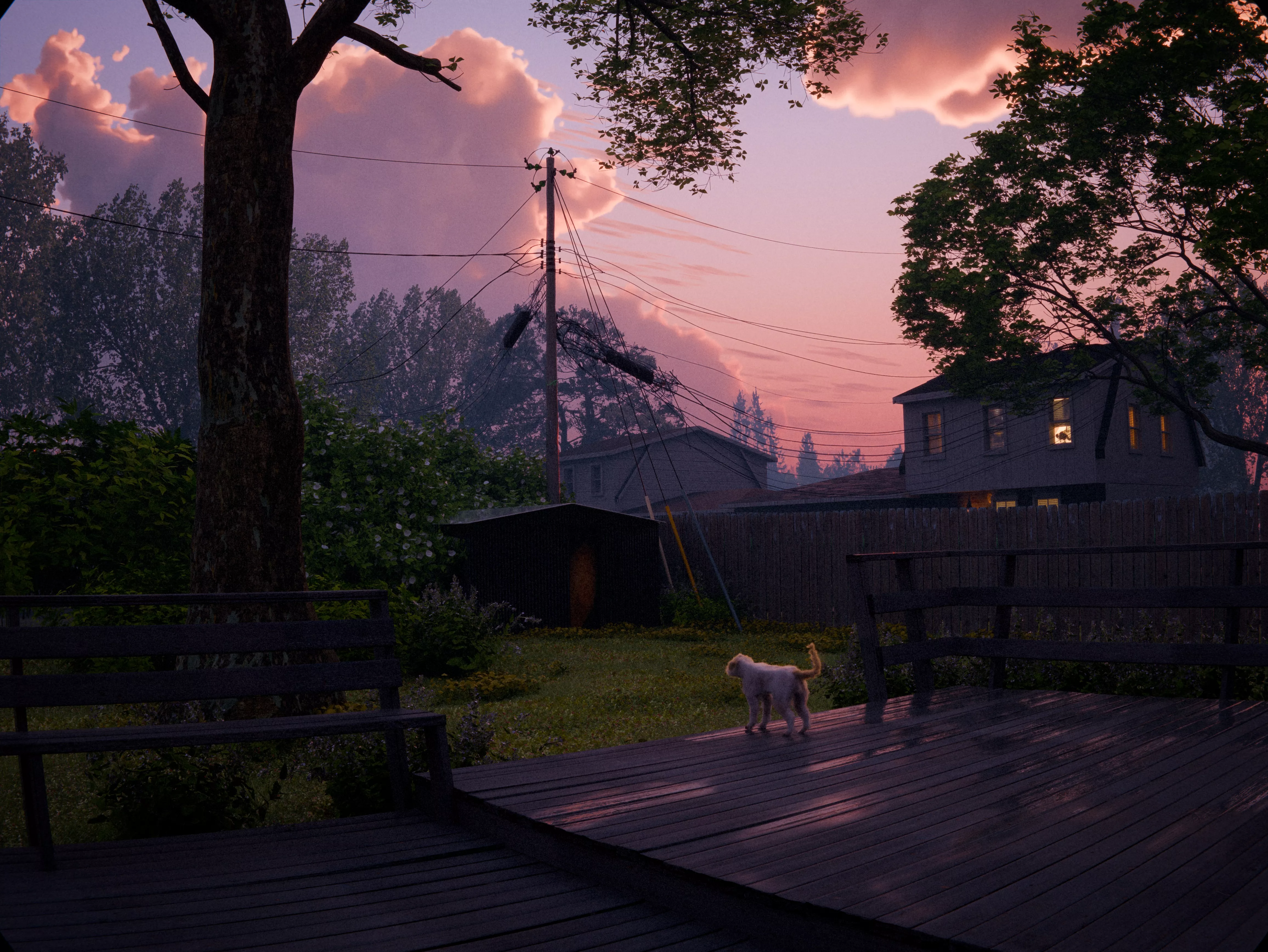 Backyards Free Scene Free 3D model