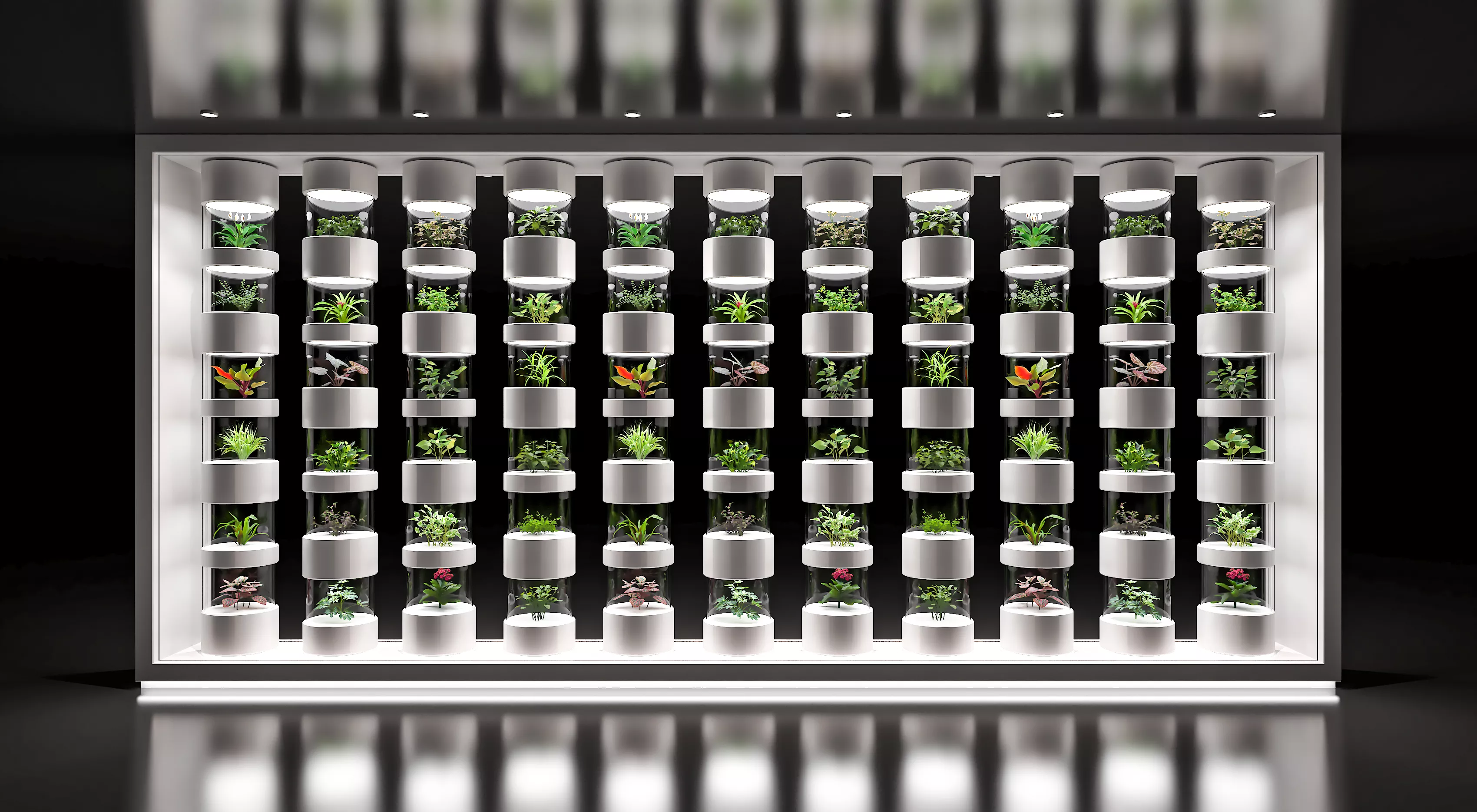Plant specimen vertical display wall display cabinet 3D model