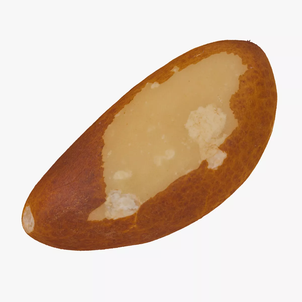 Brazilian Walnut Nut 01 RAW SCAN 3D model