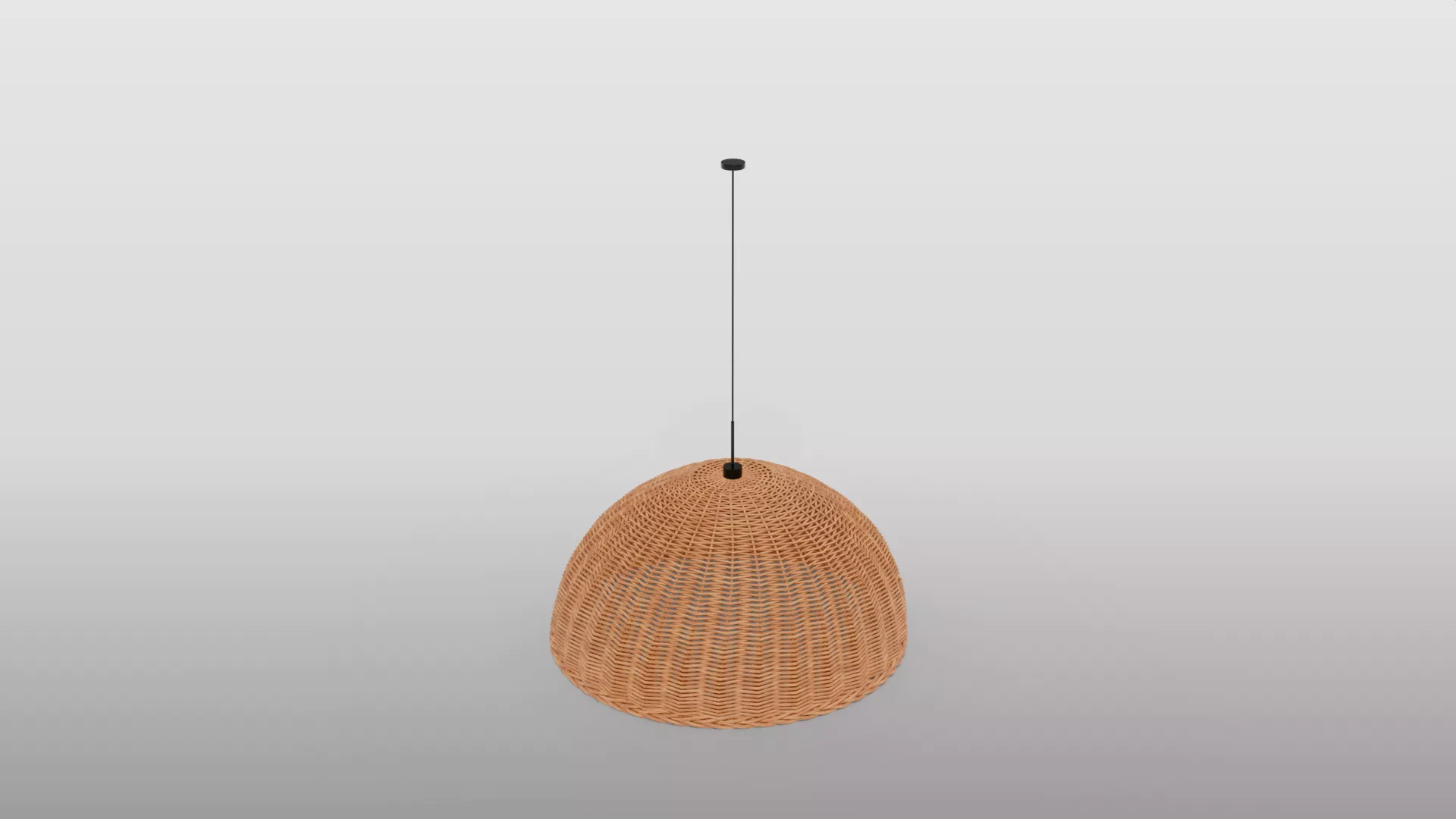 Woven Rattan Pendant Light 3D model