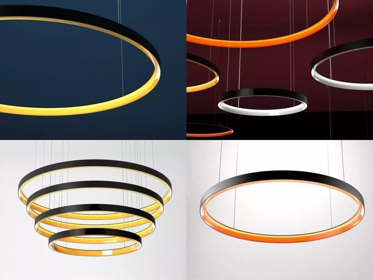 Ambient Rings 3D model_0