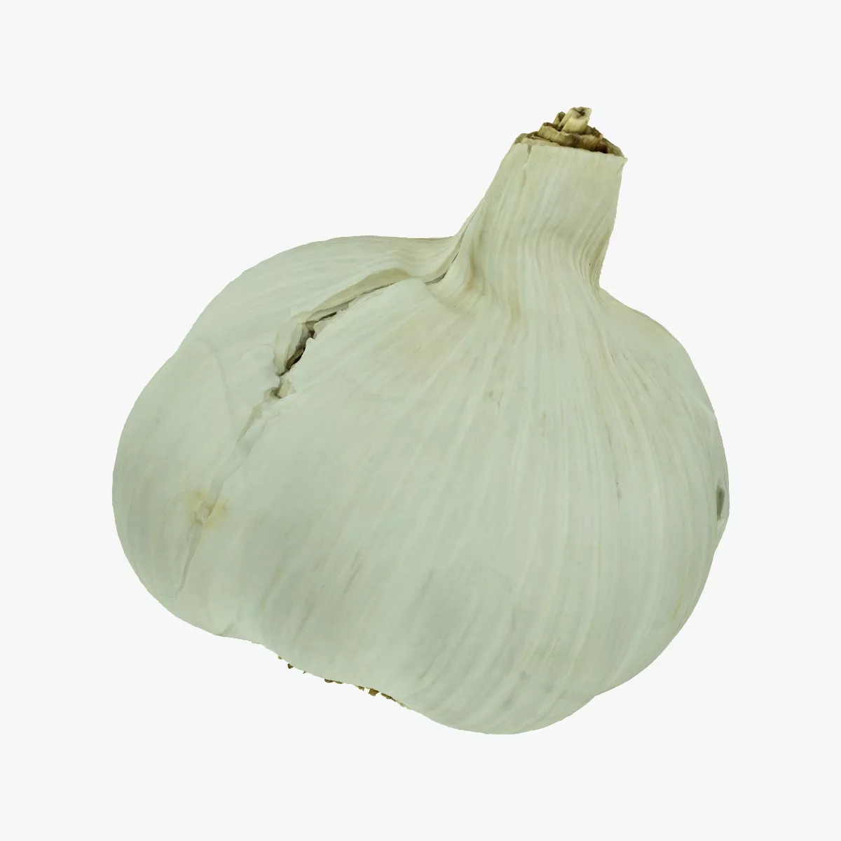 Garlic 01 RAW SCAN 3D model
