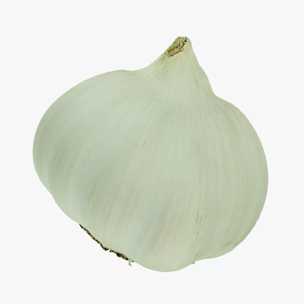Garlic 03 RAW SCAN 3D model