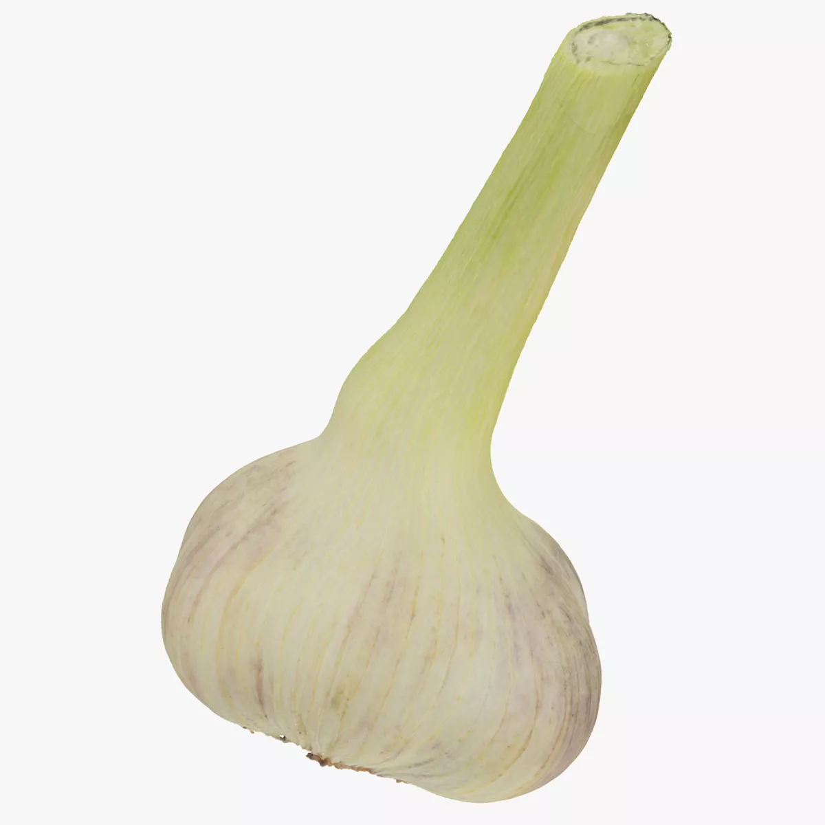 Hardneck Garlic 01 RAW SCAN 3D model