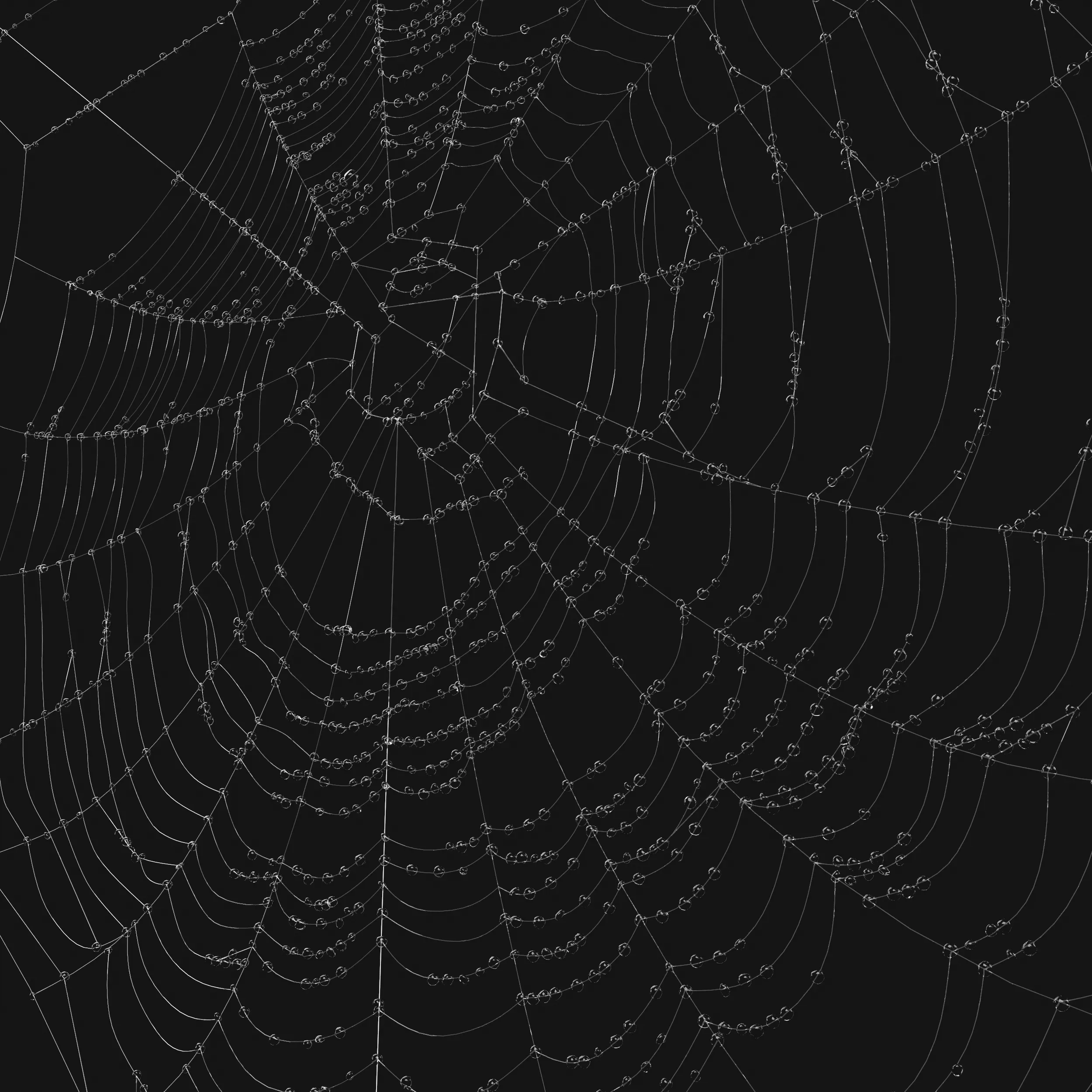 Spider Web 3D model