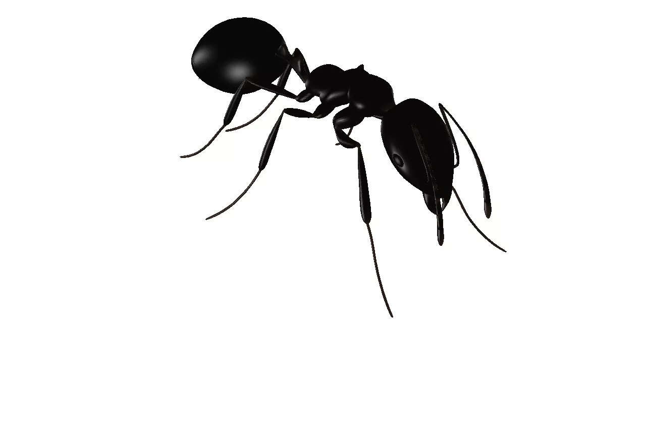 INSECTS Free 3D model