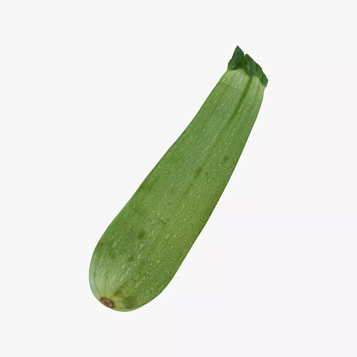 Zucchini Cousa Squash 02 RAW SCAN 3D model