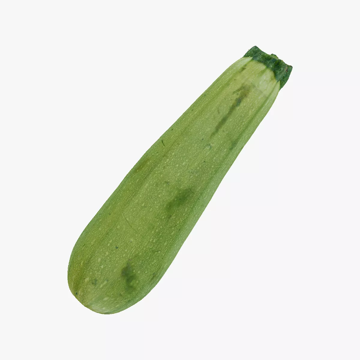 Zucchini Cousa Squash 04 RAW SCAN 3D model