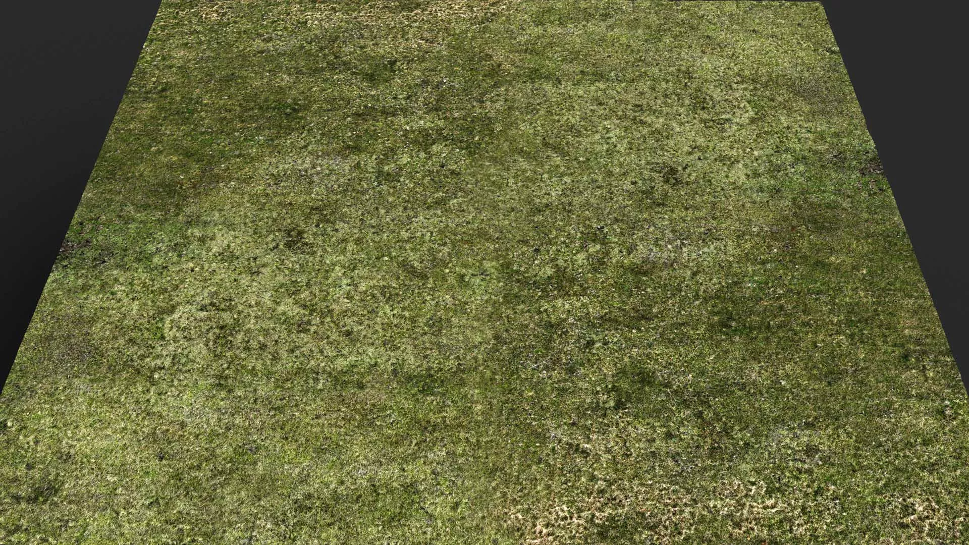 terrain ground grass bushes patch pt23 PBR photogrammetry Low-poly 3D model