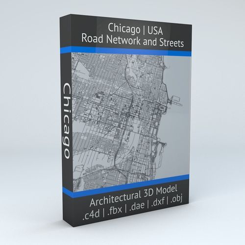 Chicago Road Network and Streets 3D model