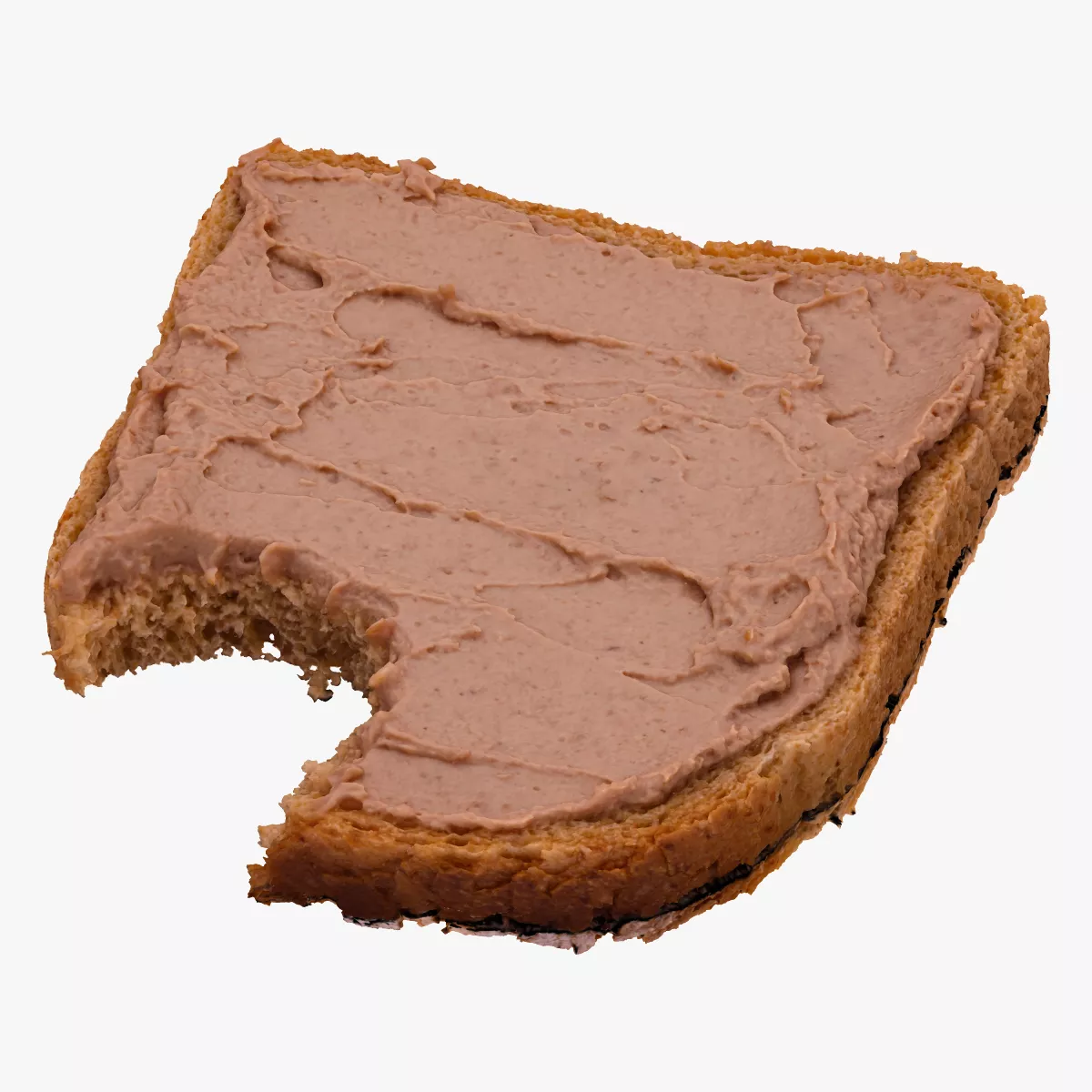 Toast With Duck Paste 01 Bitten RAW Scan Description 3D model