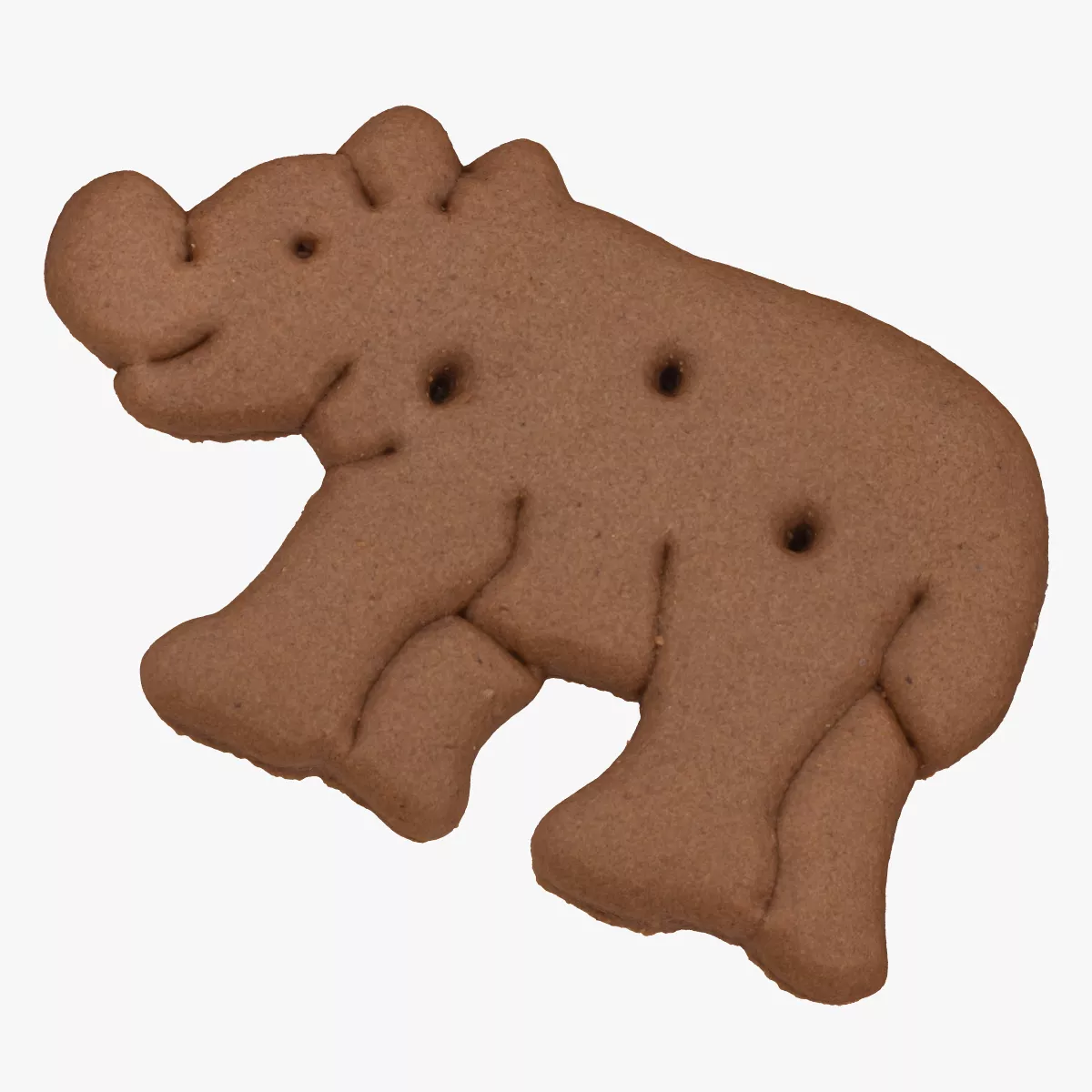 Cocoa Rhino Cookie 01 RAW Scan 3D model