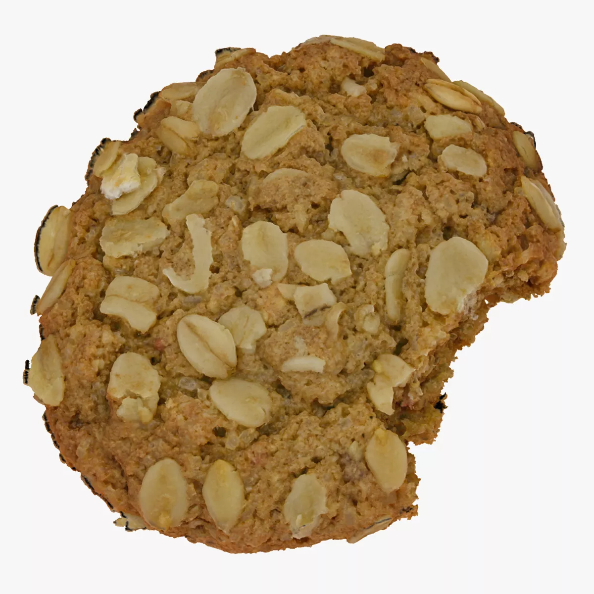 Oatmeal Cookie 01 Bitten RAW Scan 3D model