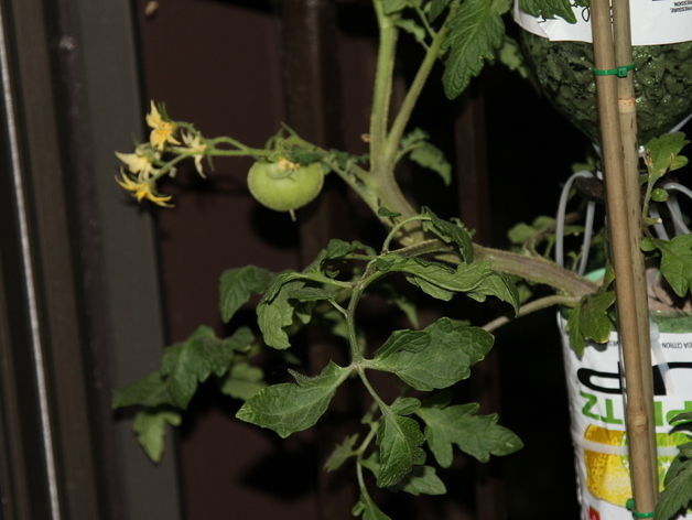 Conduit - 3Dponics Free 3D print model_5