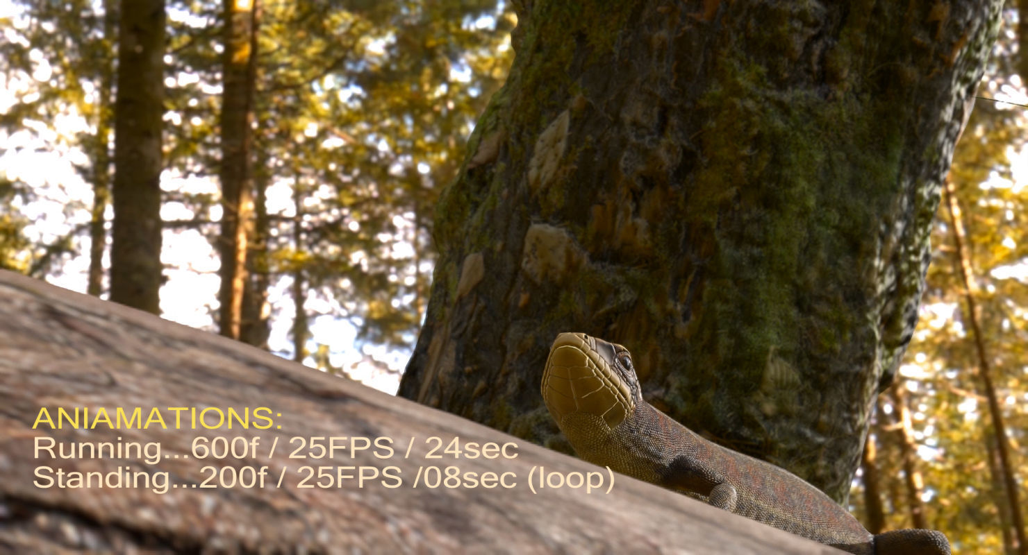 Lizard Lacerta Vivipara Low-poly 3D model_32