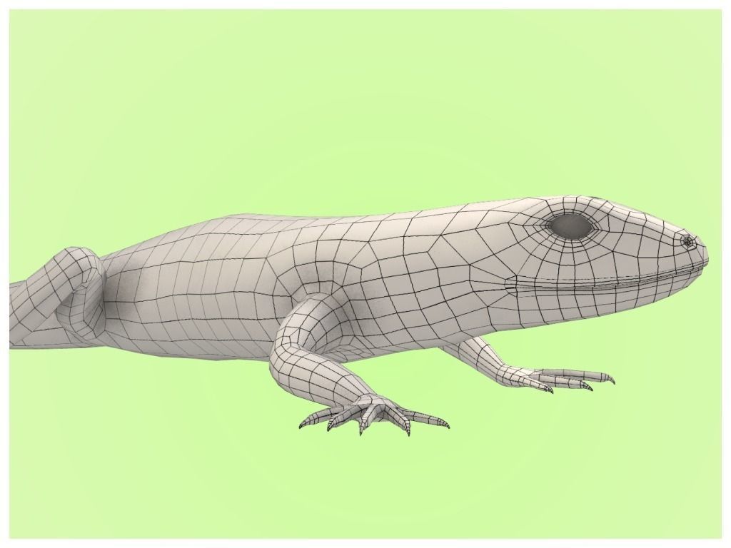 Lizard Lacerta Vivipara Low-poly 3D model_29