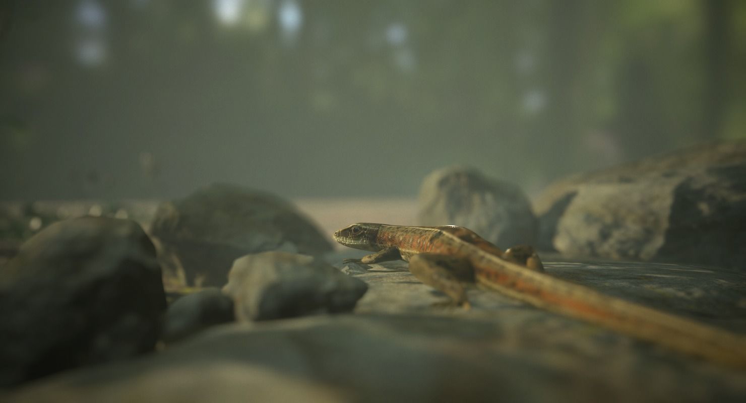 Lizard Lacerta Vivipara Low-poly 3D model_7