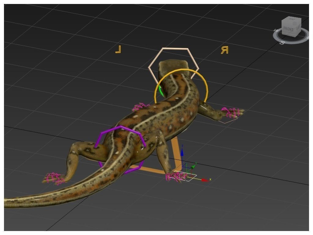 Lizard Lacerta Vivipara Low-poly 3D model_30