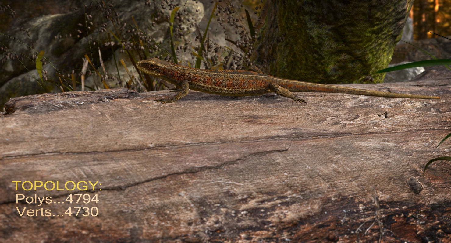 Lizard Lacerta Vivipara Low-poly 3D model_24