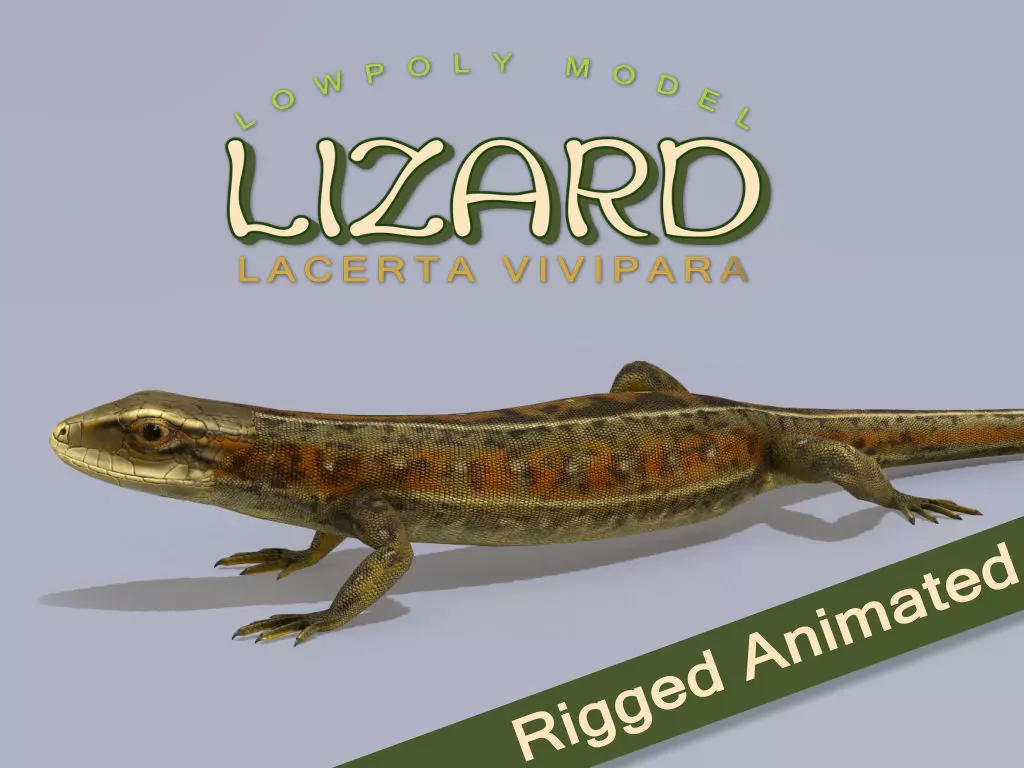 Lizard Lacerta Vivipara Low-poly 3D model_0
