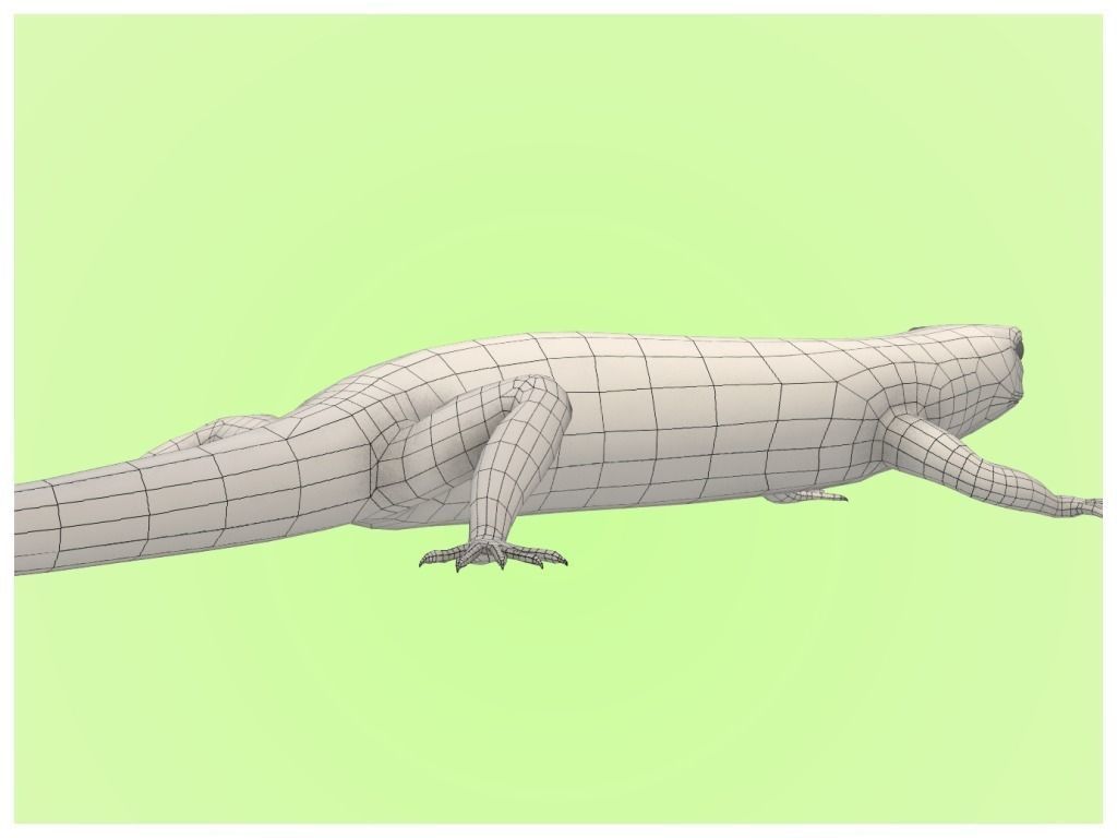 Lizard Lacerta Vivipara Low-poly 3D model_27