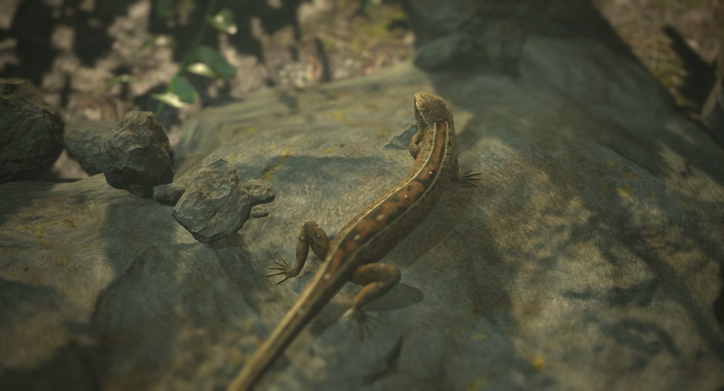 Lizard Lacerta Vivipara Low-poly 3D model_3