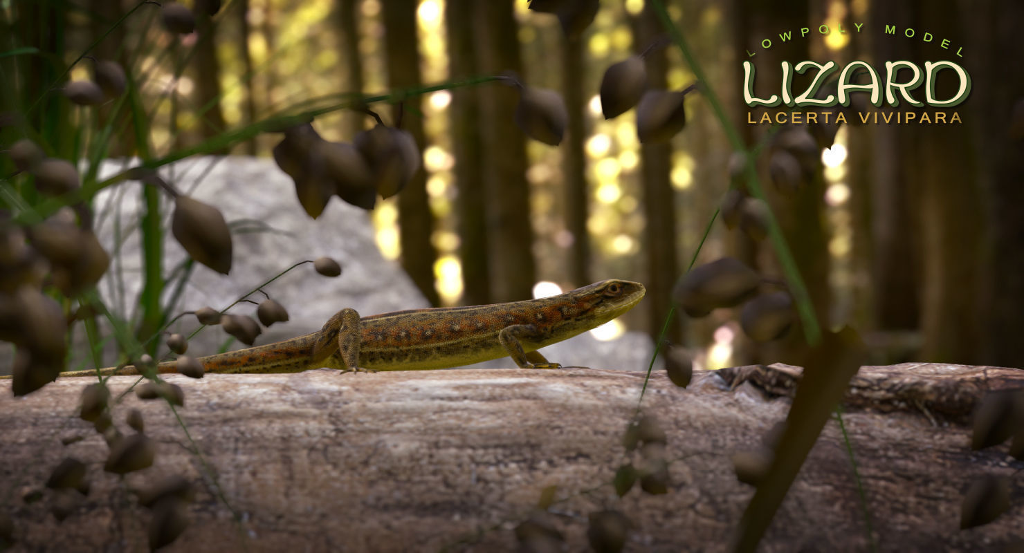 Lizard Lacerta Vivipara Low-poly 3D model_21