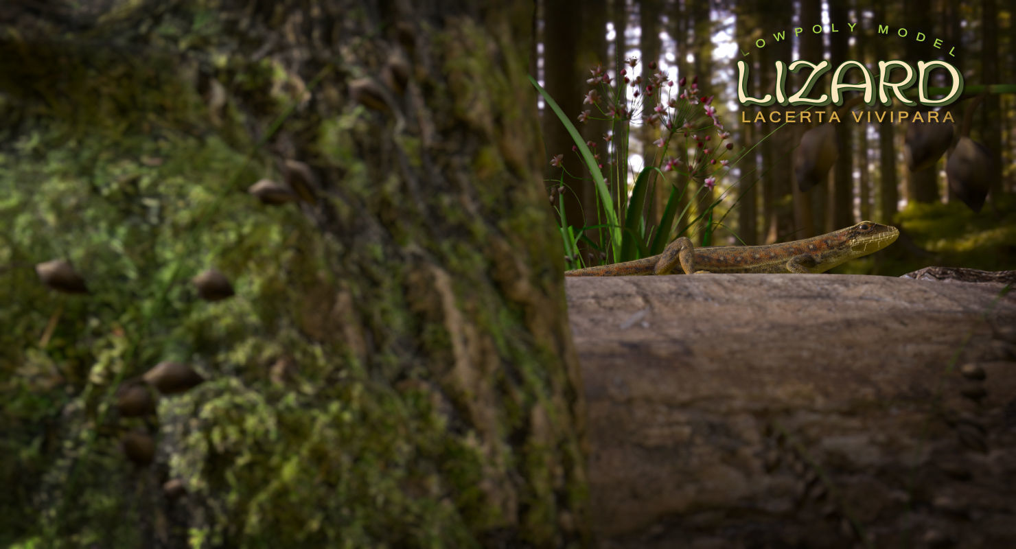 Lizard Lacerta Vivipara Low-poly 3D model_22