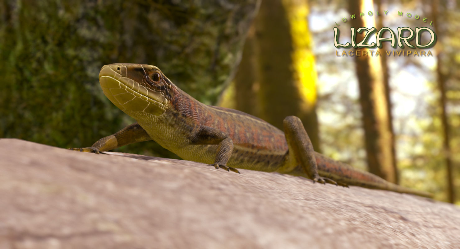 Lizard Lacerta Vivipara Low-poly 3D model_14