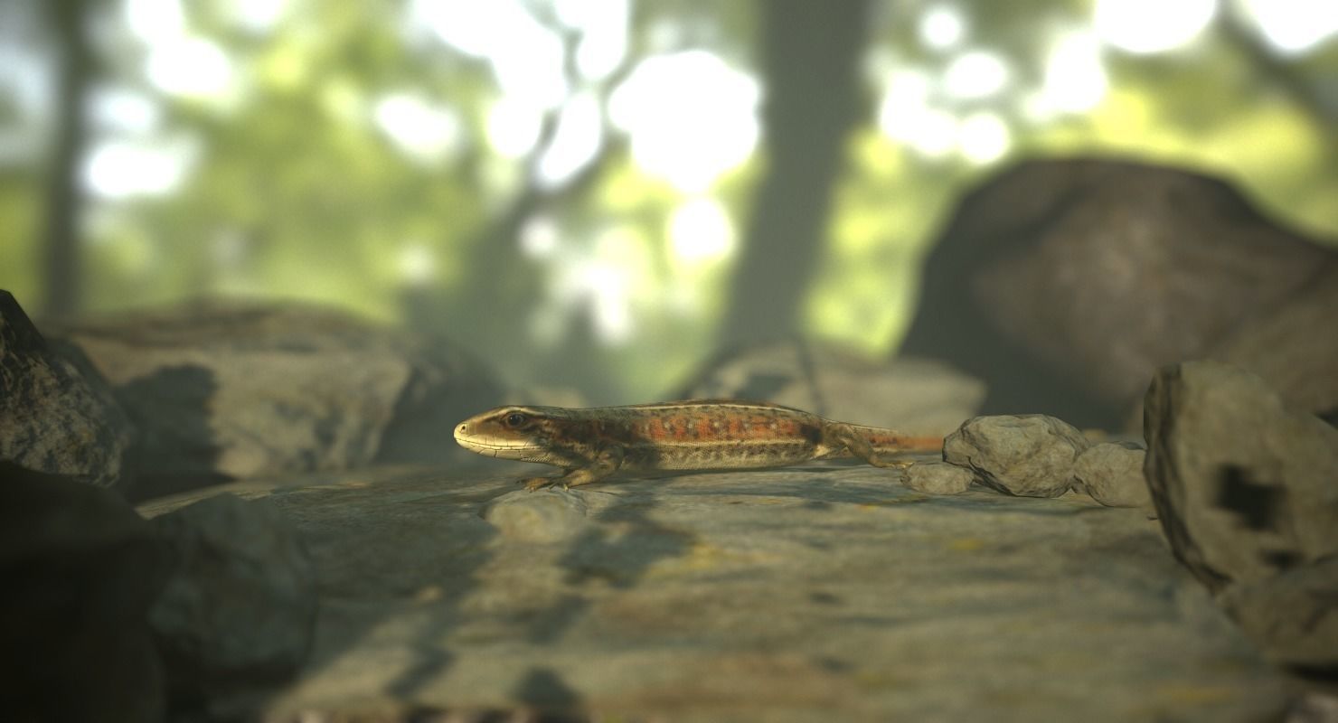 Lizard Lacerta Vivipara Low-poly 3D model_9