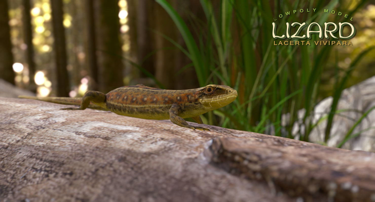 Lizard Lacerta Vivipara Low-poly 3D model_15