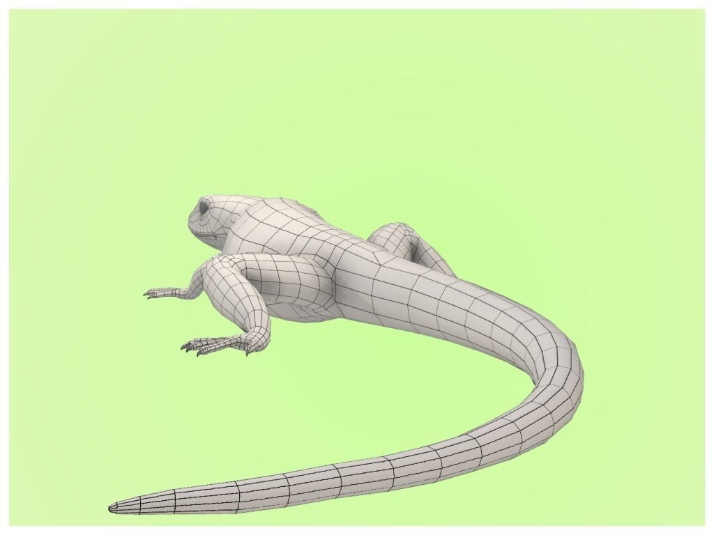 Lizard Lacerta Vivipara Low-poly 3D model_28