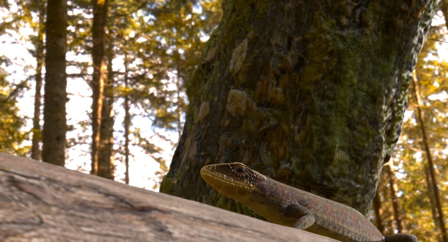 Lizard Lacerta Vivipara Low-poly 3D model_33