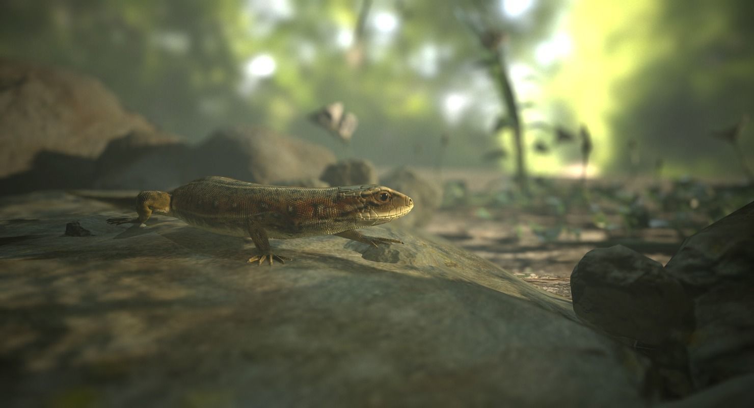 Lizard Lacerta Vivipara Low-poly 3D model_5
