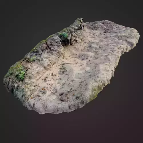 nature ground edge 003