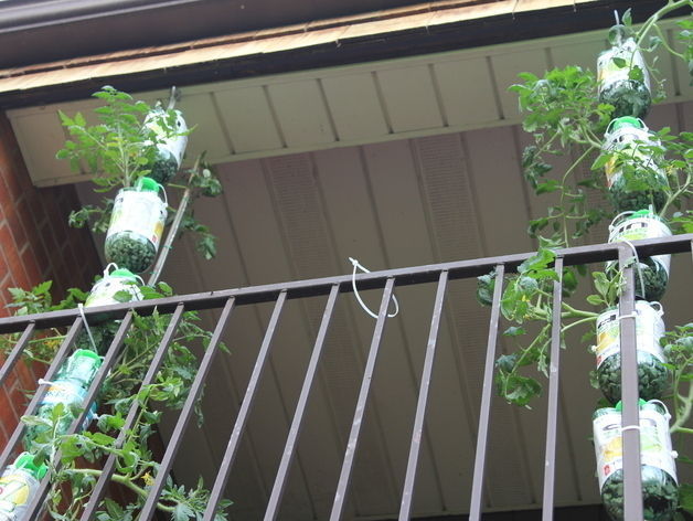 Drip Nozzle 3of4 - 4 Holes Free 3D print model_3