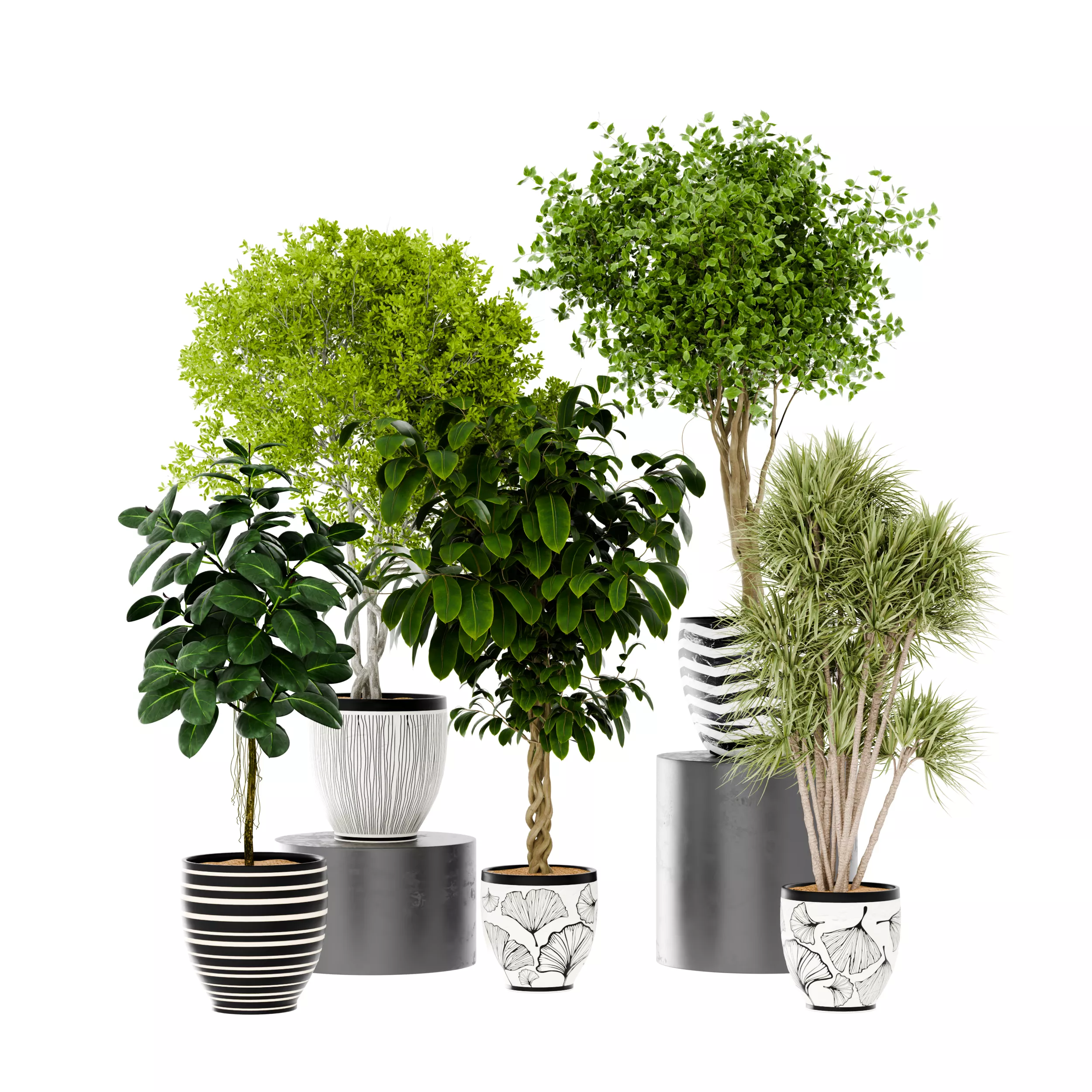 Decorative plants collection Low-poly 3D model