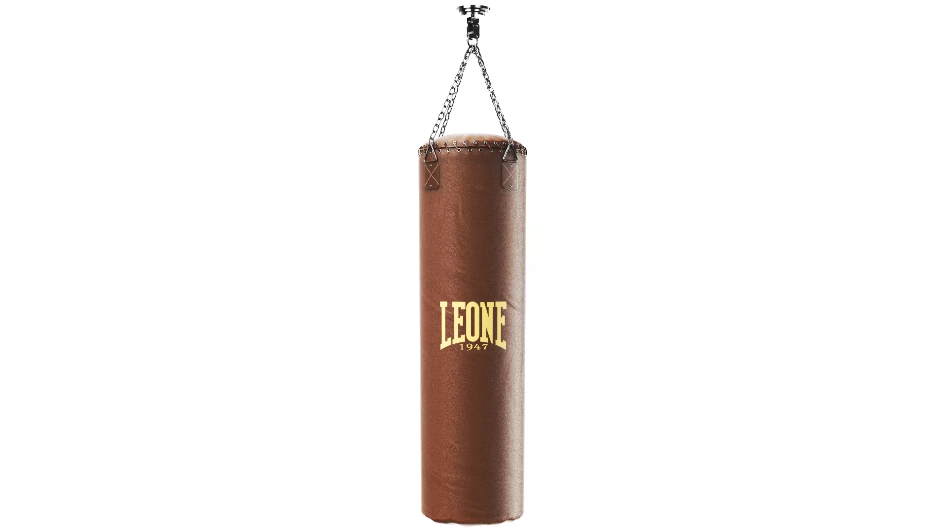 Leone Heavy Punching Bag 3D model