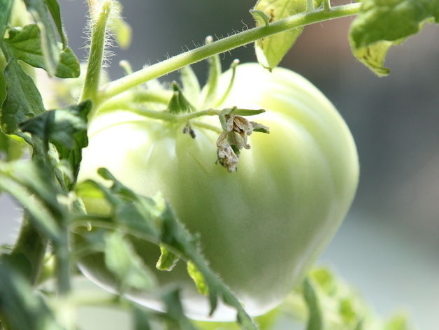 Free Hydroponics System - All 3Dponics source files - 3D-prin... Free 3D print model_26