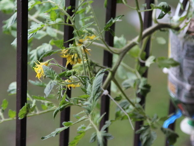 Free Hydroponics System - All 3Dponics source files - 3D-prin... Free 3D print model_17