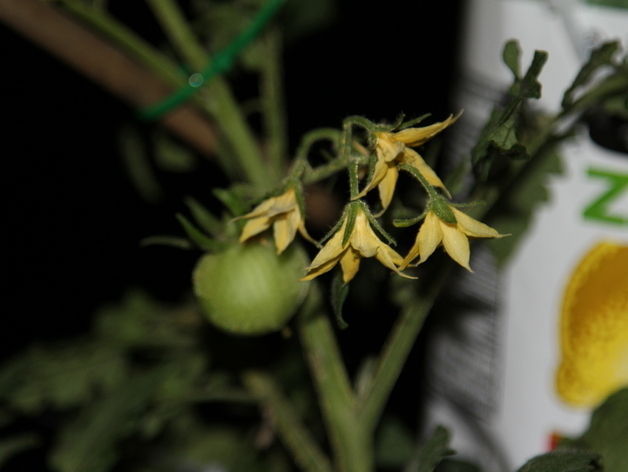 Free Hydroponics System - All 3Dponics source files - 3D-prin... Free 3D print model_12