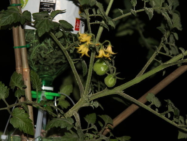 Free Hydroponics System - All 3Dponics source files - 3D-prin... Free 3D print model_3