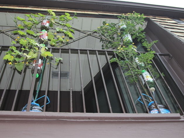 Free Hydroponics System - All 3Dponics source files - 3D-prin... Free 3D print model_25