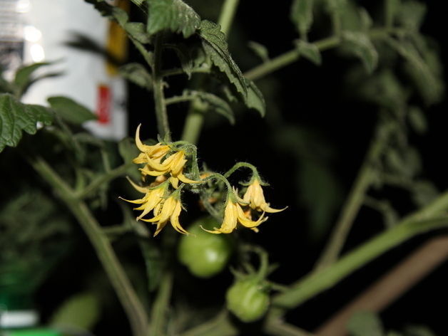 Free Hydroponics System - All 3Dponics source files - 3D-prin... Free 3D print model_19