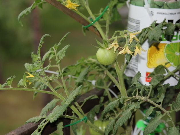 Free Hydroponics System - All 3Dponics source files - 3D-prin... Free 3D print model_30