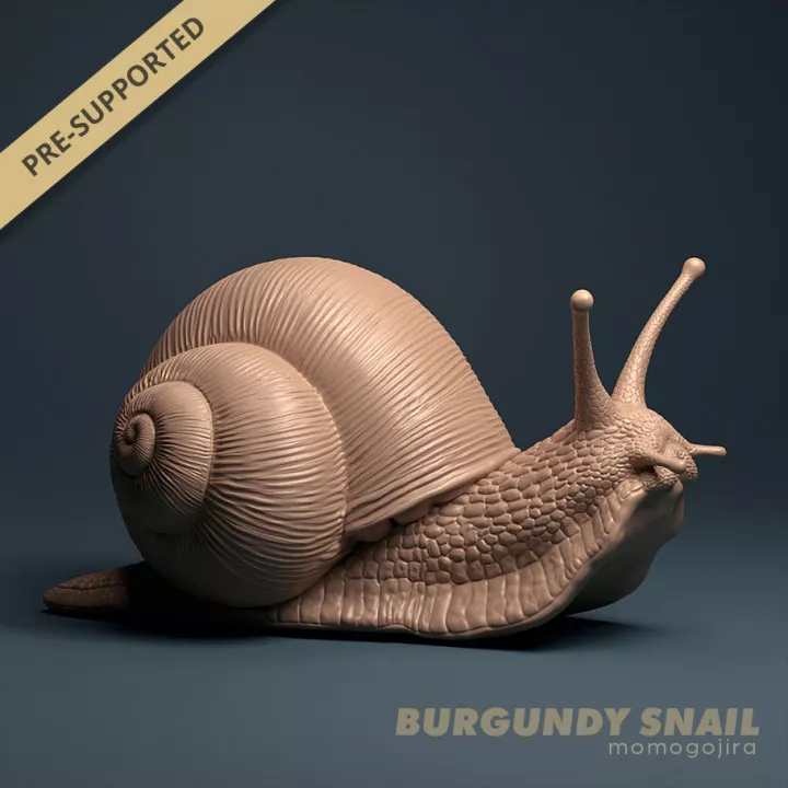 Burgundy Snail 3D print model