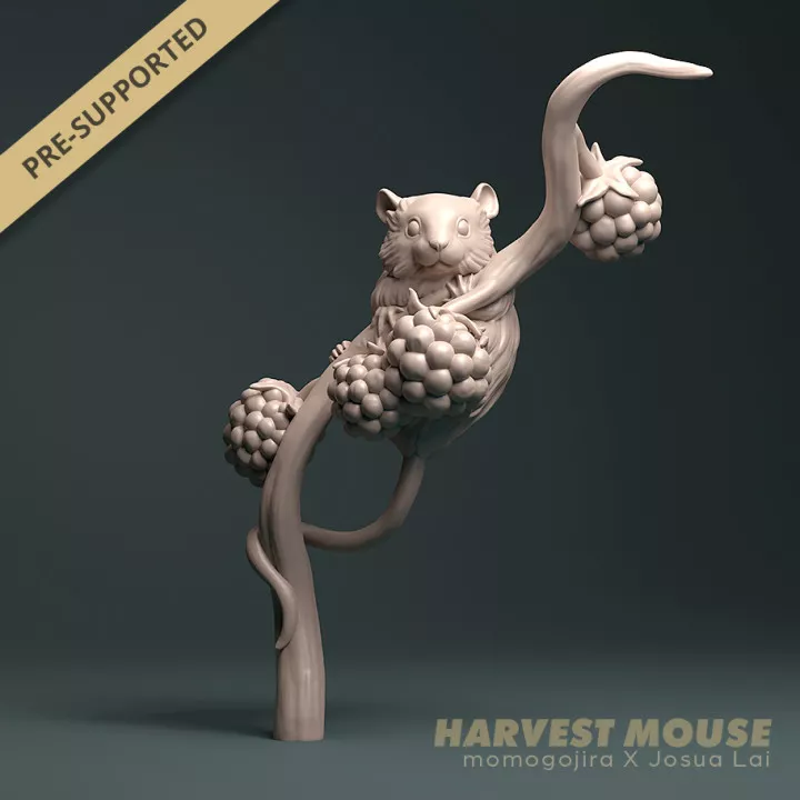 Harvest Mouse 3D print model