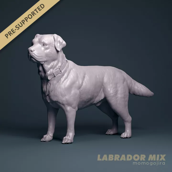 Labrador Mix Dog 3D print model
