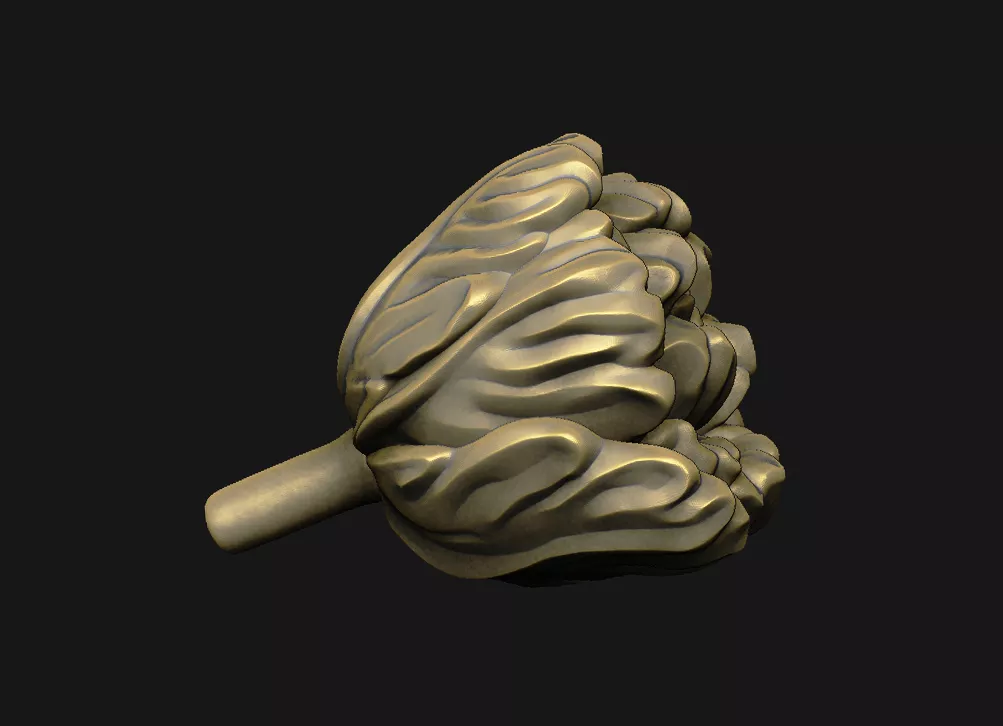 Tulip flower-bud peony-bud rosebud blossom cabbage-rose 3D print model