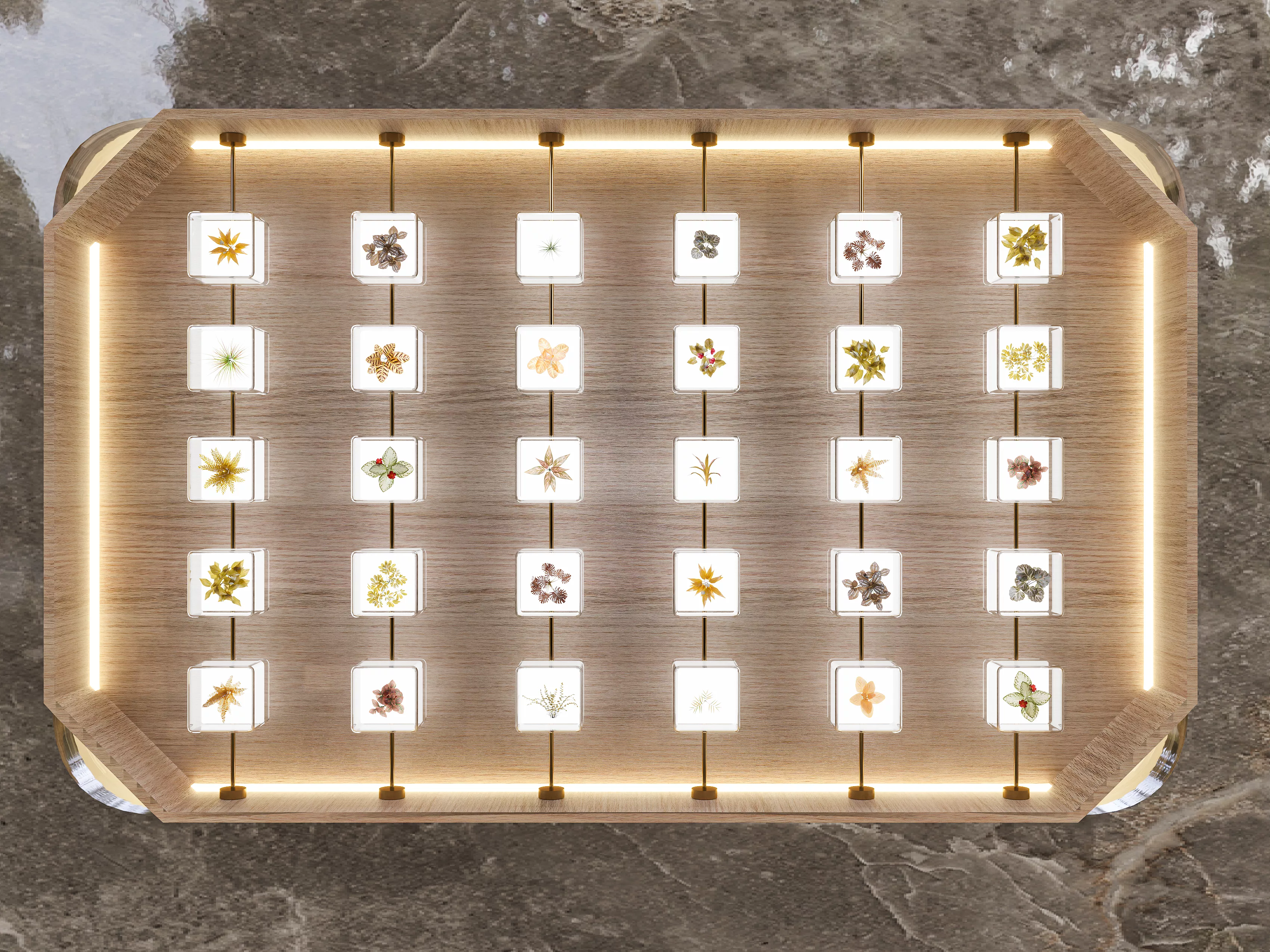 Plant Specimen Exhibition Hall 3D model